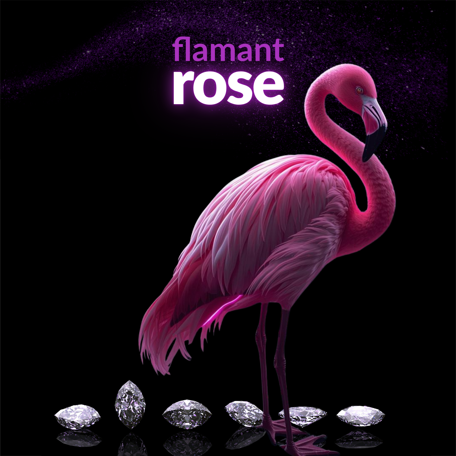 Flamant 🦩 Rose collection