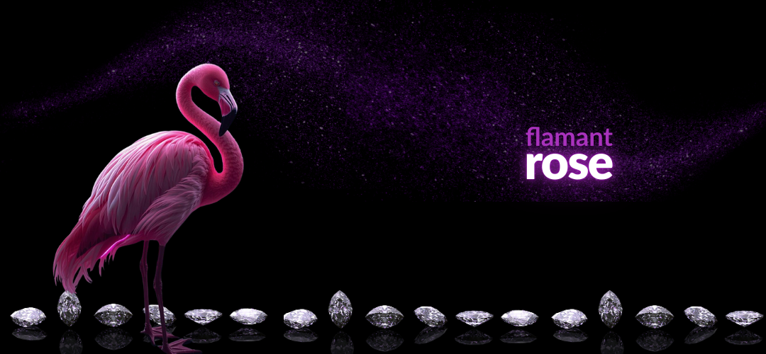 tsgabrielle® • Flamant Rosa • Mochila Minimalista • Branco